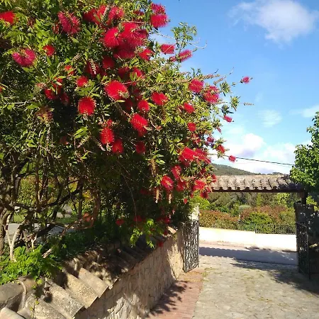 Villa Casa Lloch Bell-Lloc (Girona)
